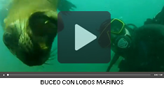 SCUBA DUBA BUCEO - PUERTO MADRYN - CHUBUT